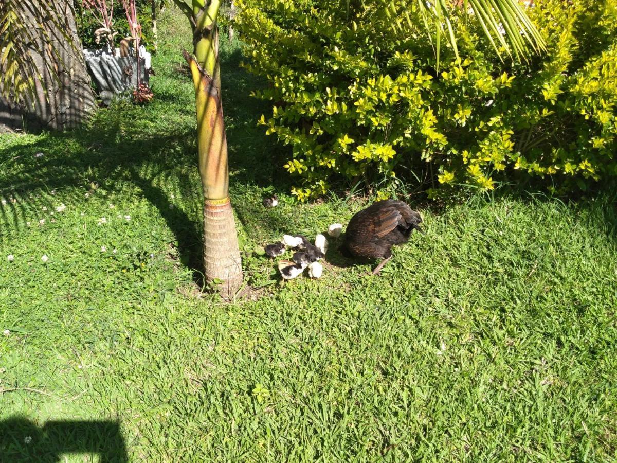Cabana El Trebol San Agustín Buitenkant foto